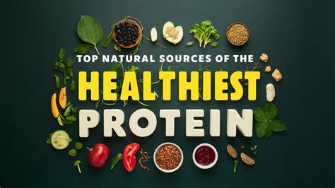 Las Mejores Fuentes Naturales De La Proteína Más Saludable Hammer Nutrition Europe