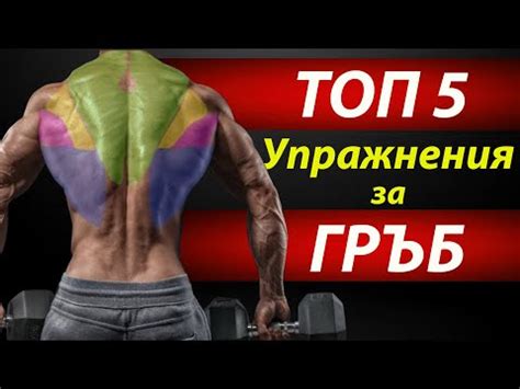 5те Най-Добри Упражнения За Гръб - YouTube