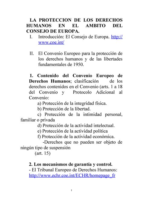 DIP Tema 23 APUNTES LA PROTECCION DE LOS DERECHOS HUMANOS EN EL