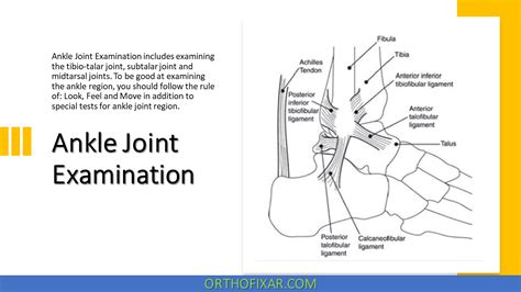 Special Test Category Ankle And Foot Examination Orthofixar