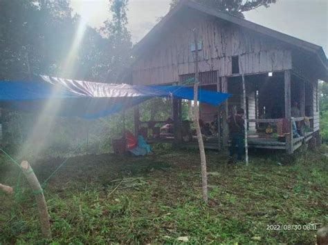 Gempa Mentawai Kepala Bnpb Imbau Warga Terdampak Lakukan