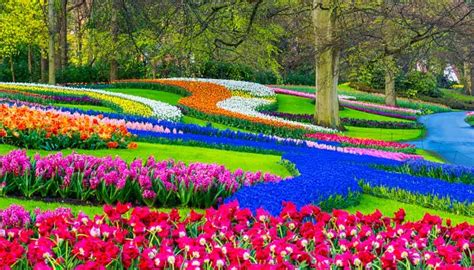 Keukenhof Pictures | Download Free Images on Unsplash