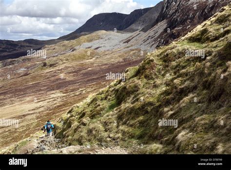 A Walker Descending On The Pony Path On The Welsh Mountain Cadair Idris