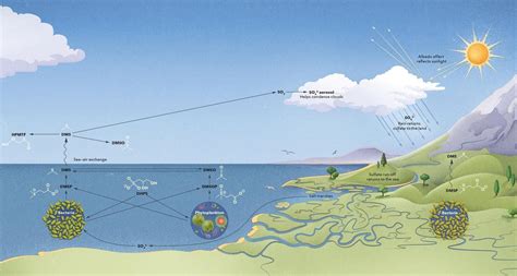 Where Is Sulfur Found