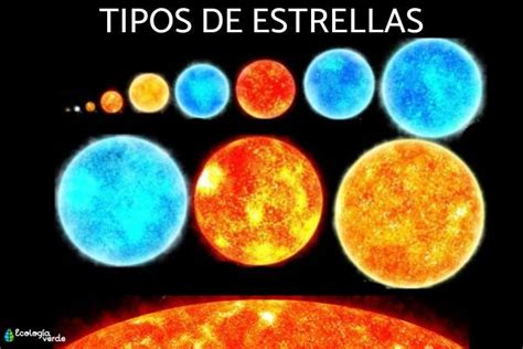 Neutral En Caso Beca Las Estrellas Mas Grandes Del Universo Y Sus