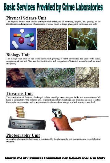 Posters Forensic Science Science Curriculum Homeschool Science