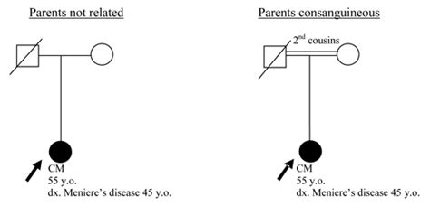 Instructions on How to Draw a Pedigree | Iowa Institute of Human Genetics