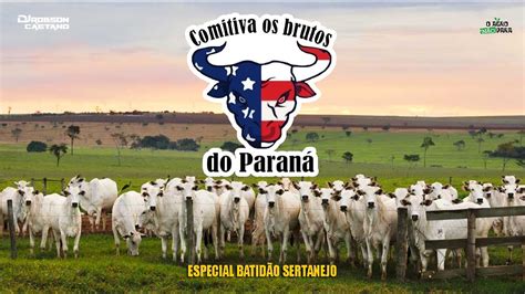 Comitiva Os Brutos Do Paran Especial Batid O Sertanejo Youtube