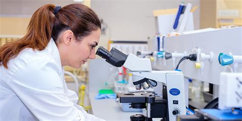 research skills postgraduate research student support aut