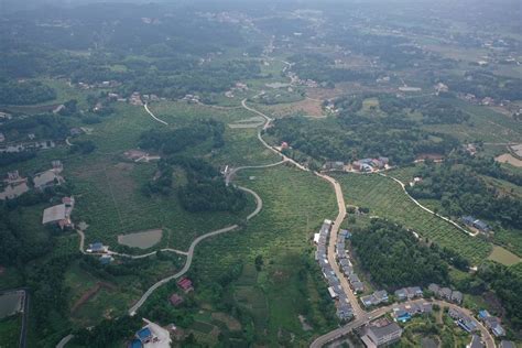 小康圆梦｜四川安岳文化镇隆恩村：酸柠檬开路 村民过上“甜日子” 封面新闻