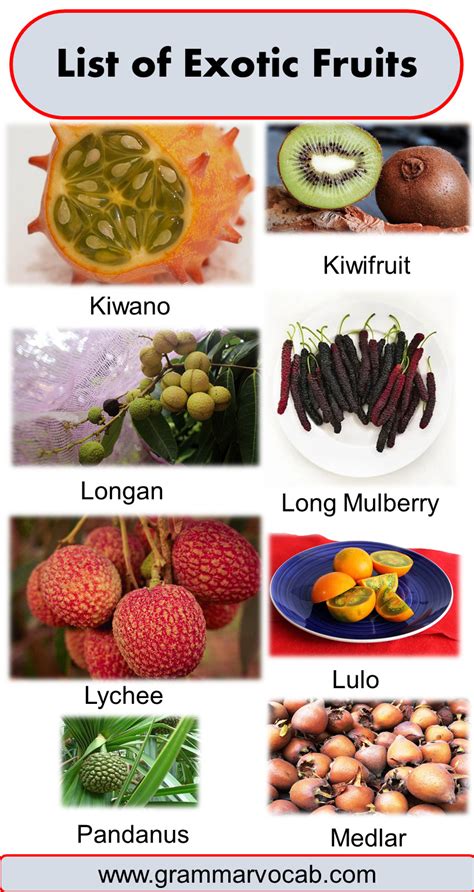 List Of Exotic Fruits Names Pictures Grammarvocab