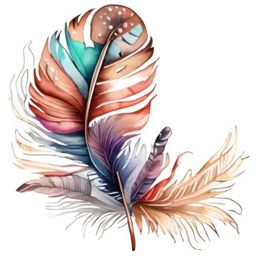 Watercolor Feather Watercolor Boho Feather Boho Feather Feather Png