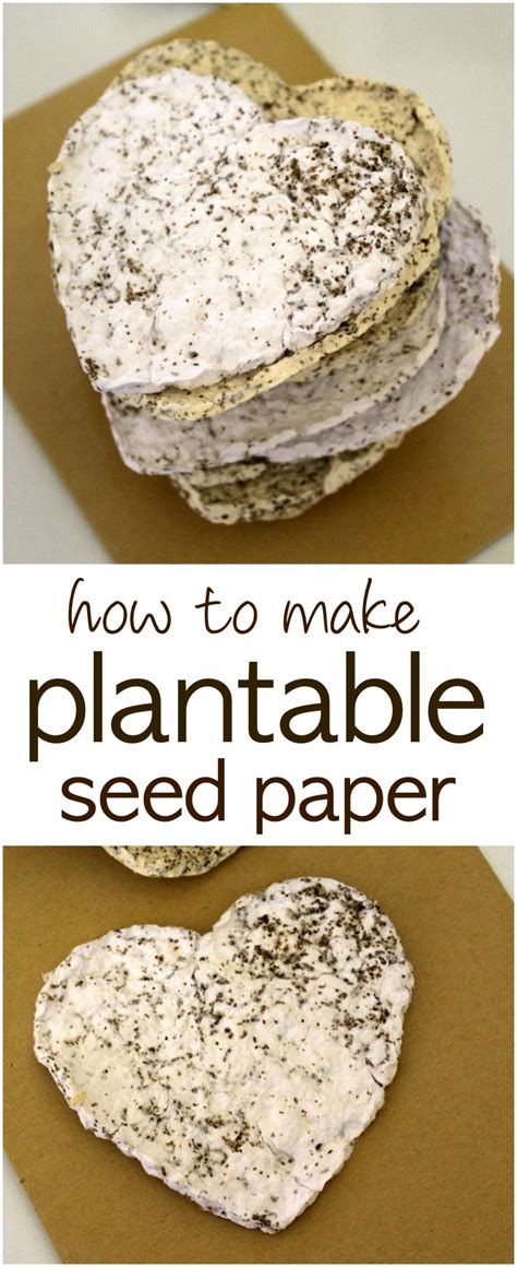 How To Make Plantable Seed Paper