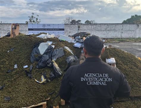 Incineran más de una tonelada de droga en Jalisco