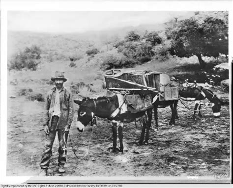 10 Interesting The California Gold Rush Facts My Interesting Facts