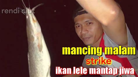 Mancing Malam Strike Ikan Lele Matap Jiwa Youtube