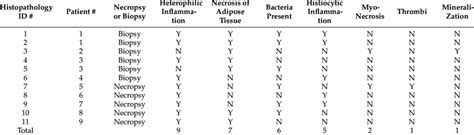 Histopathologic Findings In Steatitis Lesions Of Nine Cold Stunned