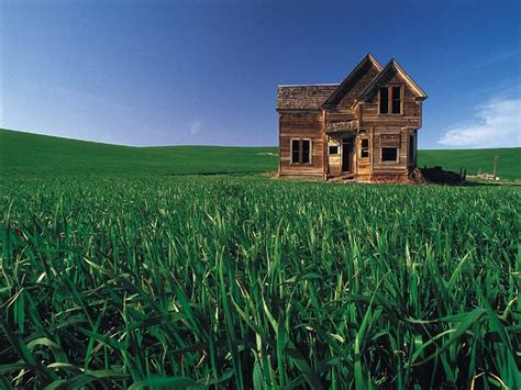 Download Wooden House On Green Grass Land Wallpaper