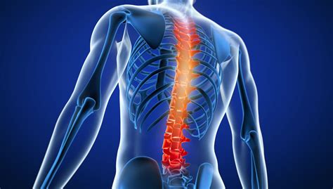 Common Spinal Injuries From Car Accidents Nakase Law Firm