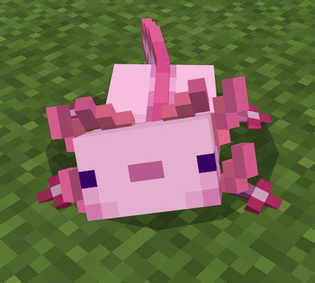 Better Axolotls D Details Minecraft Addon Texture