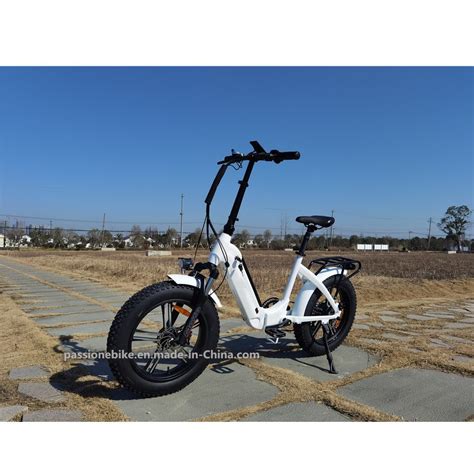 2022 20 Inch 48V 750W 20 Inch Folding Ebike Aluminum Alloy Hidden Frame