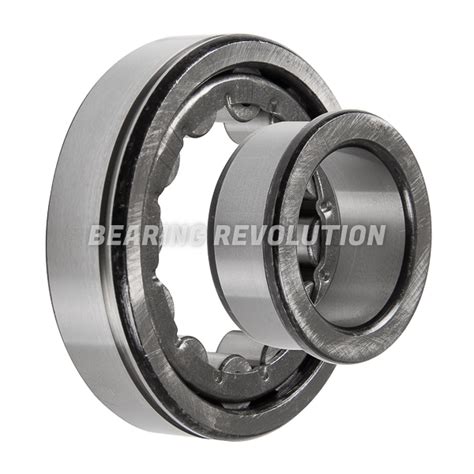 NJ 309 N Bearing Revolution