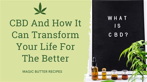 Guide To Cbd And How It Can Transform Your Life Magic Butter Recipes