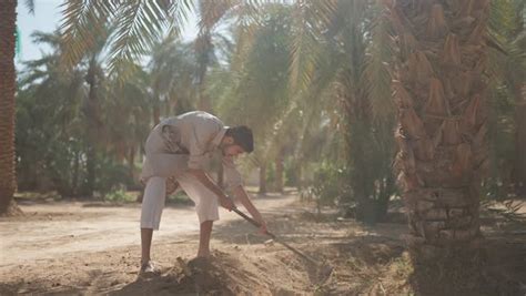 صورة لمزارعين عرب خليجين سعوديين يقومون باعمال الزراعة، اراضي زراعية