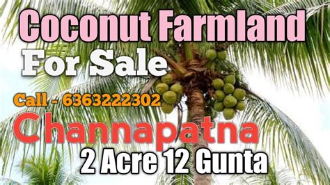 2 Acre 12 Guntas Coconut Farmland In Channapatna Call 6363222302