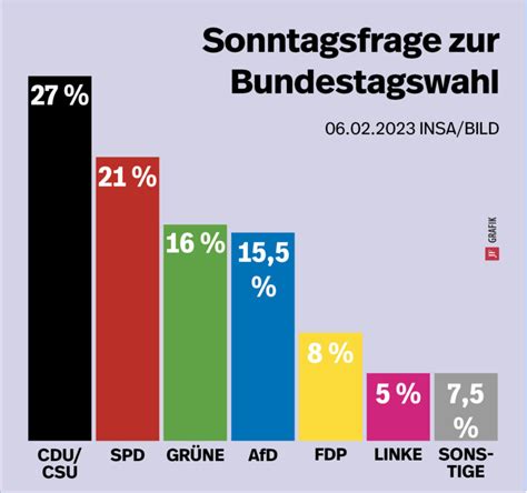 AfD: Umfragerekord als Geburtstagsgeschenk