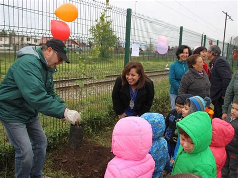 Plantarán más de 300 árboles nativos en distintos sectores de Padre Las