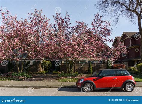 Vancouver Canada April 19 2018 Cherry Blossoms Trees And Red Car