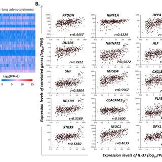 A Heatmap Depicting The Relative Expression Levels Log Tpm Of