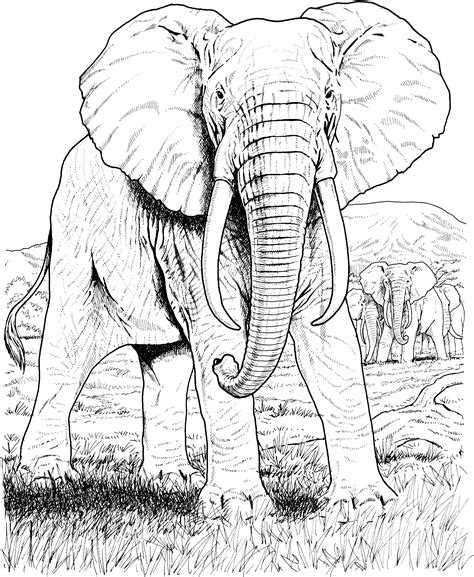 Printable Elephant Coloring Pages