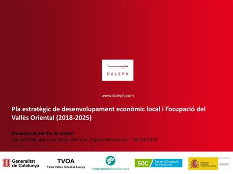 Pla Estrat Gic De Desenvolupament Econ Mic Local I Locupaci Del