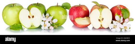 Apples Fruits Red Green Apple Fruit Collection With Leaves And Blossoms