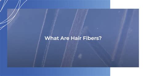 What Are Hair Fibers?