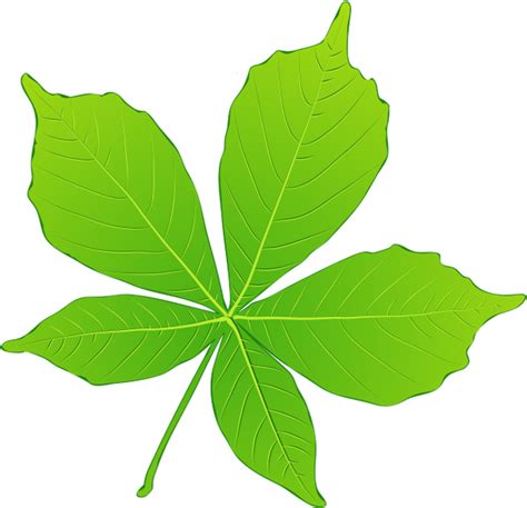 каштан, листья каштана, листья растений - download free render Leaves ...