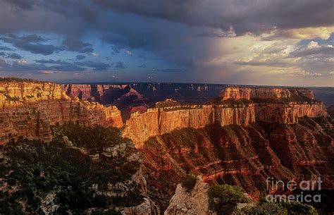 Cape Royal Sunset North Rim Grand Canyon Np Arizona Photograph by Dave ...