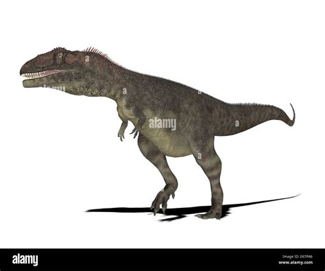 Dinosaurier Mapusaurus / dinosaur Mapusaurus Stock Photo - Alamy