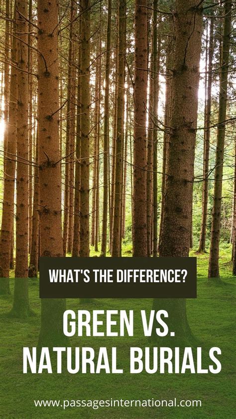 Green Vs Natural Burial Understanding The Difference