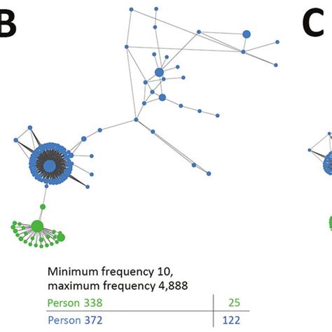 Hepatitis C Virus Hcv Transmission Network Among Persons In Public