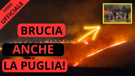 Italia COSA DIAVOLO STA SUCCEDENDO Anche LA PUGLIA BRUCIA Incendio