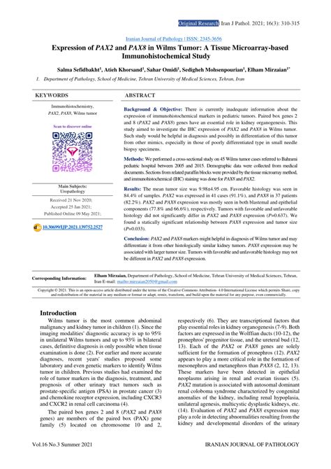 Pdf Expression Of Pax And Pax In Wilms Tumor A Tissue Microarray