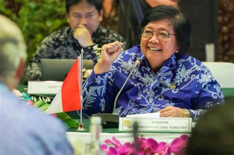 Kepada Delegasi Kongres As Menteri Lhk Tegaskan Komitmen Kuat