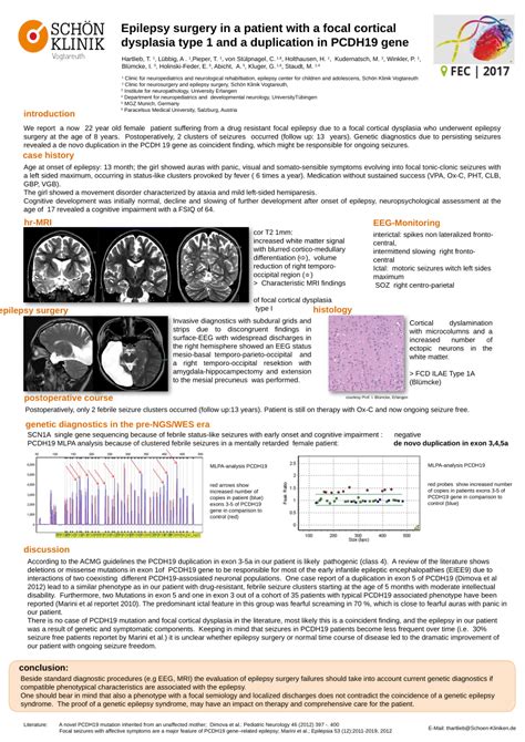 (PDF) Epilepsy surgery in a patient with a focal cortical dysplasia type 1 and a duplication in ...