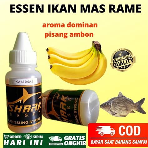 Jual Essen Ikan Mas Harian Dan Kilo Gebrus Dominan Aroma Pisang Ambon