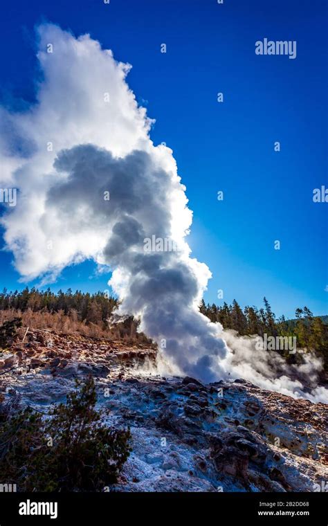 Steamboat Geyser In Yellowstone National Park S Norris Geyser Basin