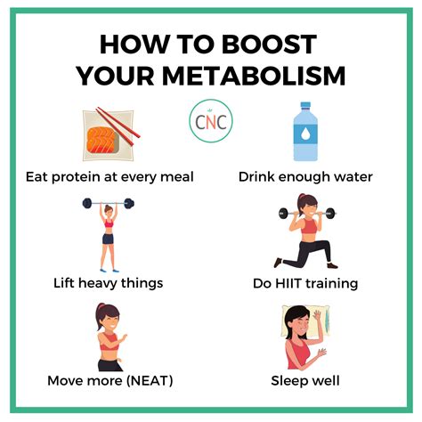 How To Increase Your Metabolism My Emerald Health