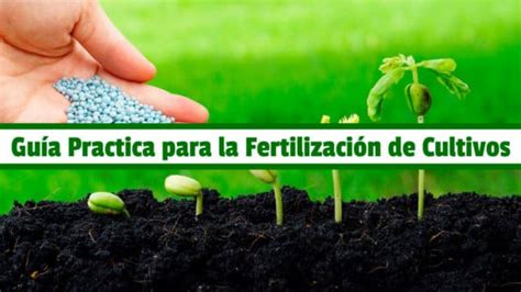 🥇 🥇 Guía Practica Para La Fertilización De Cultivos Pdf 🥇